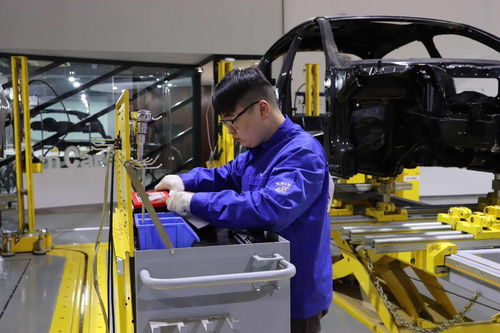 技藝融合，智創(chuàng)未來——記2017全國(guó)機(jī)械行業(yè)“金源詩(shī)琴杯”職業(yè)院校汽車車身修復(fù)與整形技術(shù)大賽